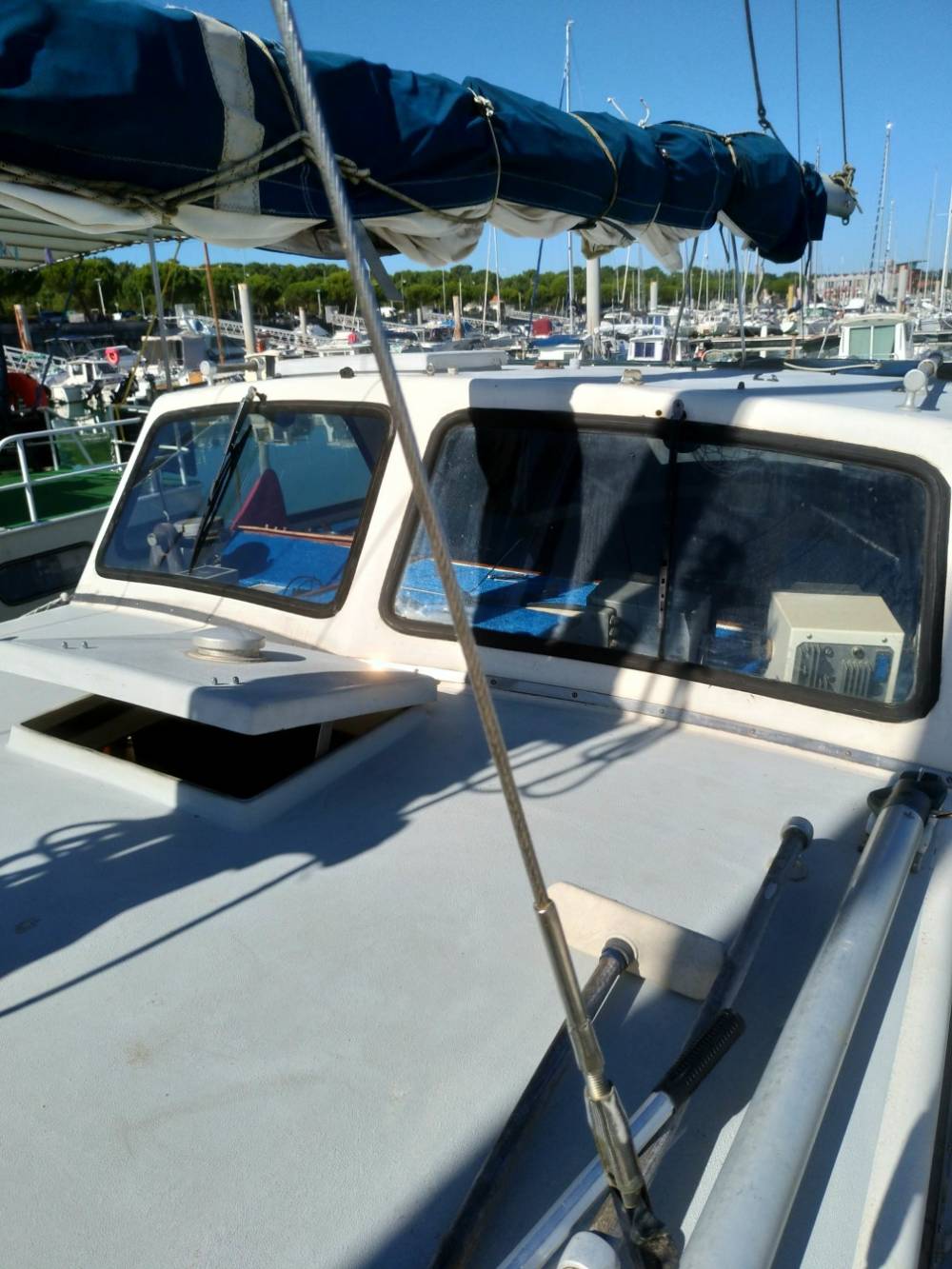 P_20231006_141942_vHDR_Auto(1) (002)