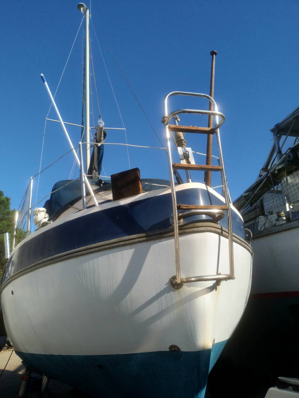 P_20241105_105342_vHDR_Auto (002)